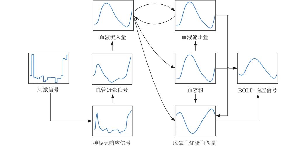基于功能磁共振成像的人脑效应连接网络识别方法综述
