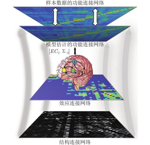 基于功能磁共振成像的人脑效应连接网络识别方法综述